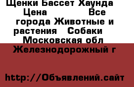 Щенки Бассет Хаунда  › Цена ­ 25 000 - Все города Животные и растения » Собаки   . Московская обл.,Железнодорожный г.